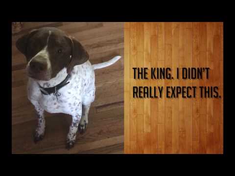Macbeth with Animals/Concord High School/SH/Fiction