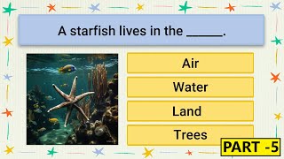 Interactive Learning Fun English For Kindergarten Kids Learn Play Kidszilla