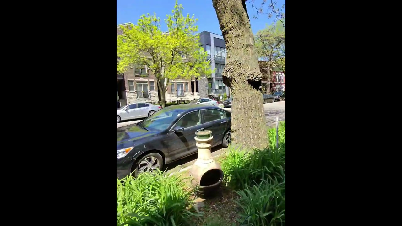 Walking in Wolcott Avenue Chicago