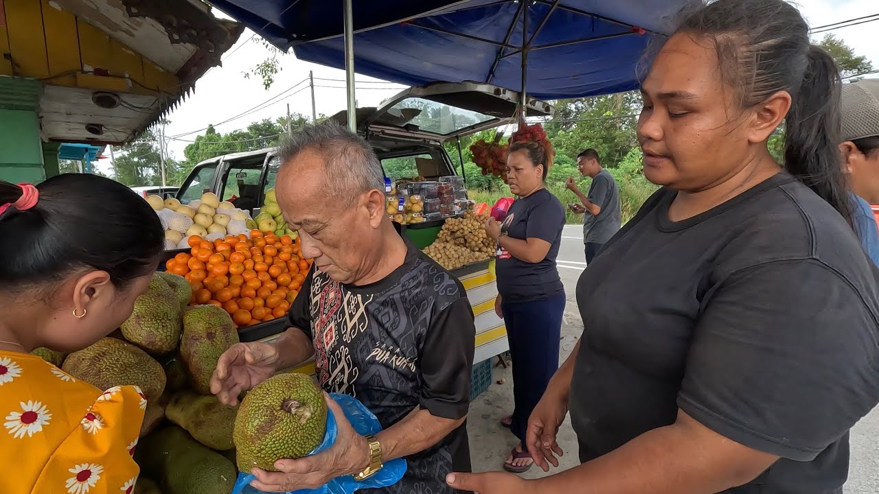 Beli Buah Buahan Tempatan Gerai Tepi Jalan // Kota Tinggi Menghala Ke Mersing //