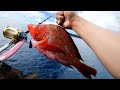 究極の超大物釣り。50kg超の伝説級クエを狙う最高峰のブッコミ釣りキャンプ