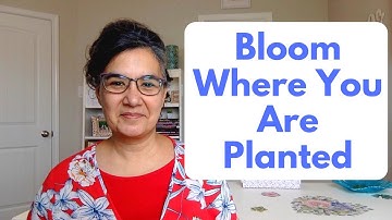 Bloom Where You Are Planted (Jeremiah 29:4-7)