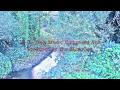 Lil B - "Only Music" PRODUCED BY THE BASEDGOD LEAK FROM THE SECRETE ALBUM "PAINT"