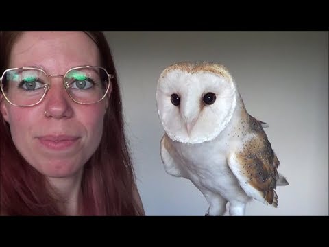 get-free-glasses-@-firmoo-glasses-thanks-to-lookie-the-barn-owl-!