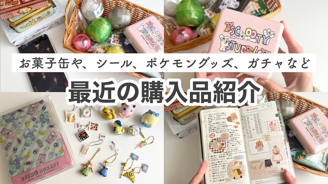 【文房具購入品】最近の購入品まとめて紹介、ロフト購入品とポケモンセンター購入品、ガチャなど｜ガチャのリーフレット収納方法
