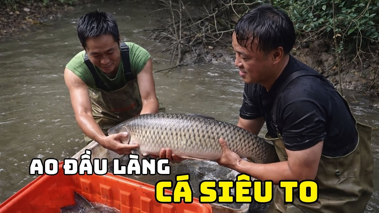 Mua ao cá ở đầu làng với giá siêu rẻ, bất ngờ bắt được cá siêu to | bridgewater canal pike fishing