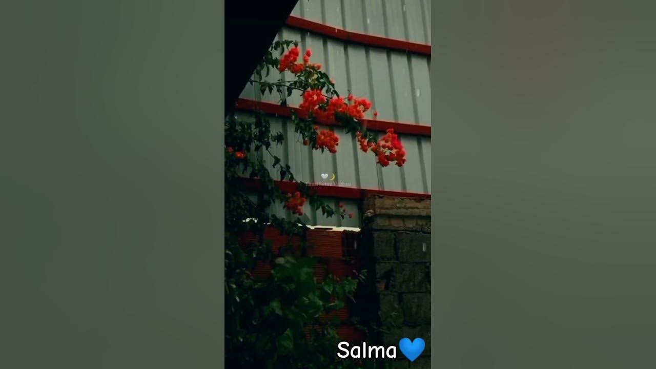 #trending #love #songs #lovesong #❣️#flowers #💙