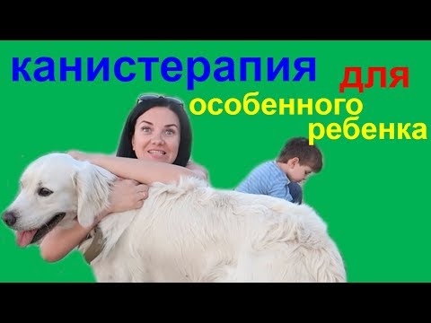 КАНИСТЕРАПИЯ // СОБАКА ДЛЯ ВЛАДА // Аутизм // Autism