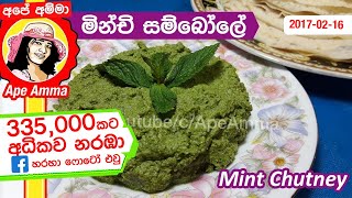  බිරියානි, තෝසේ, වඩේ එක්ක කන මින්චි සම්බෝලේ. Minchi sambola | Mint Sambol (ENG Sub) by Apé Amma