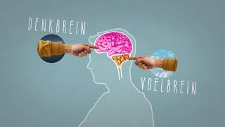 Download Lagu Je Brein de Baas?!; Je brein en stress MP3 Download Lagu Je Brein de Baas?!; Je brein en stress MP3