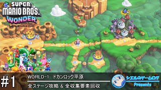 Switch】スーパーマリオブラザーズ ワンダー【Super Mario Bros