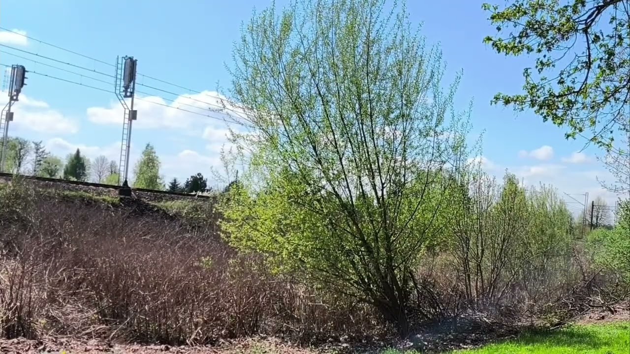 Mix nagrań składu IC/TLK Osterwa 