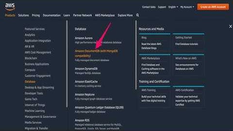 AWS DocumentDB (MongoDB Compatibility) walk through