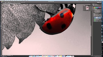 Photoshop CS6 Selective color