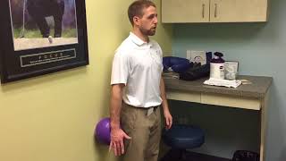 Shoulder Ext ball isometrics