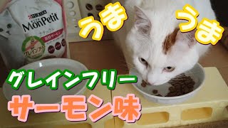 【レビュー】久々のグレインフリーを必死に食べる猫がかわいい☆The cat that desperately eats grain-free after a long time is cute