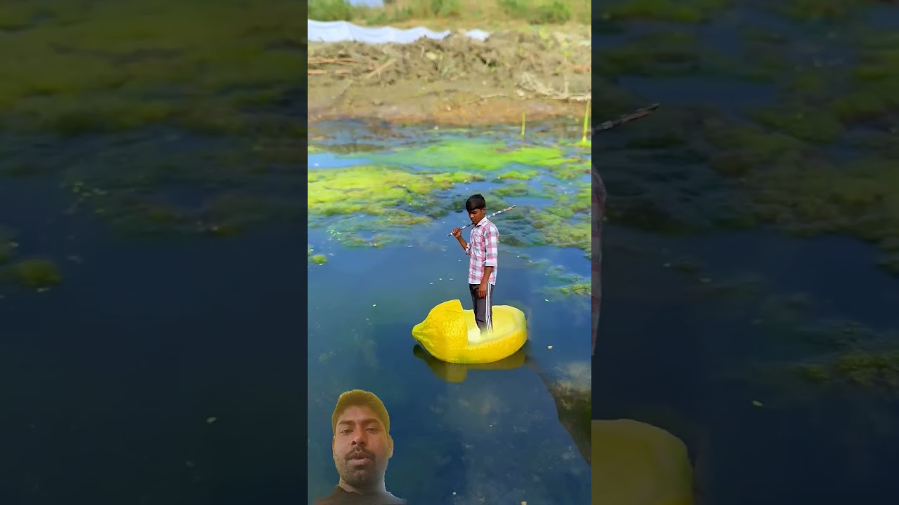 Crazy, funny, amazing monkey with men videography idea 