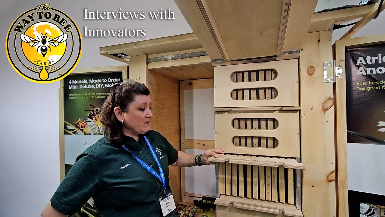 Пчеловодство в стиле Аризоны с рамками Лангстрота, утеплённое здание от Apiverte