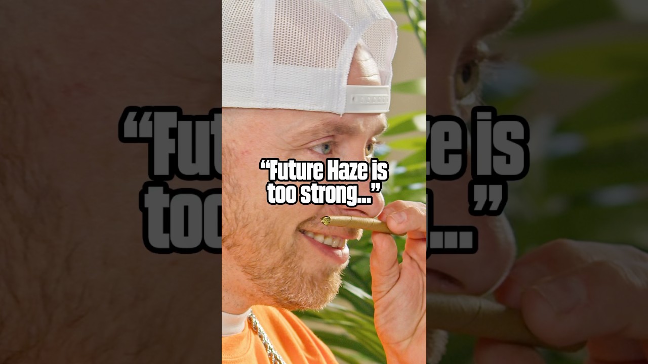 Future Haze, The Perfect Daytime Cannabis - THCa Strain Review