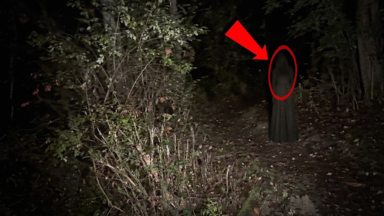 Los 5 Encuentros Más PERTURBADORES en el Bosque Captados en CÁMARA