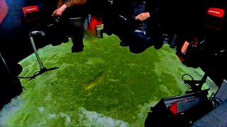 Thin Ice Walleyes