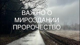 Важное послание пробужденным. О вакцинах,  о воле, тарологах, сущностнях. #пробуждение #важно