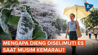 The Secret Behind the Dieng Frost Phenomenon During Scorching Heat