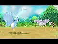 Derrotando al Maestro VENOMOTH | Pokémon Let's Go
