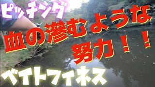 【REVO ALC-BF7】ベイトフィネスでピッチング特訓！！人のいない野池でひたすら投げ続ける！！【ホーネットスティンガープラス】