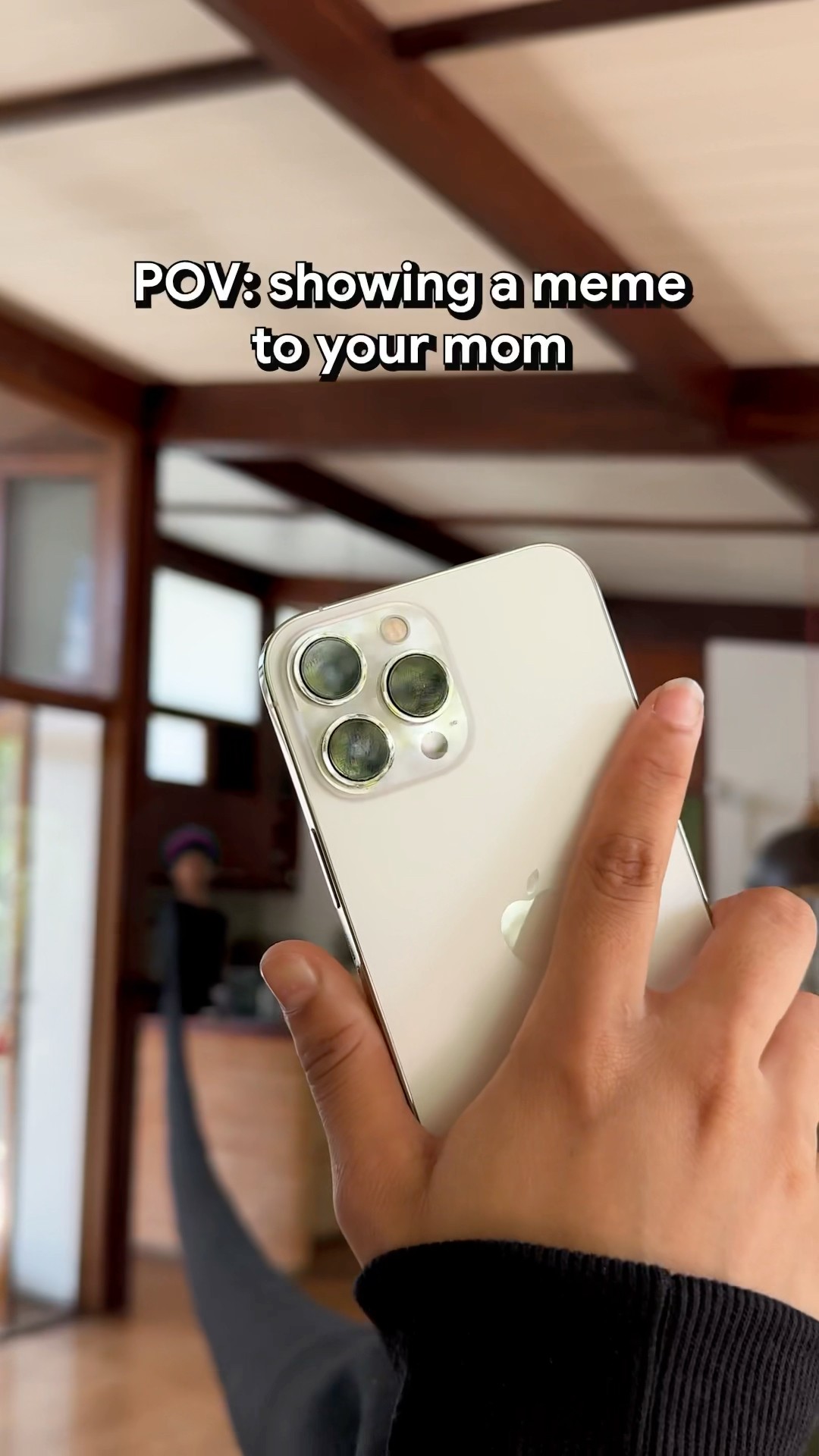 WHEN YOUR SHOW A MEME TO YOUR MOM