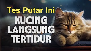 Ayat Alquran Pengantar Tidur Kucing - Kucing Auto Tidur Pulas