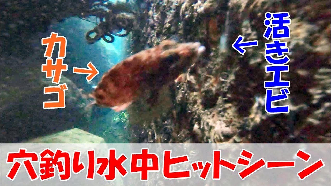 水中映像】穴釣り水中ヒットシーン - YouTube