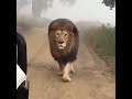 القسور و ال ضرغام و الغضنفر