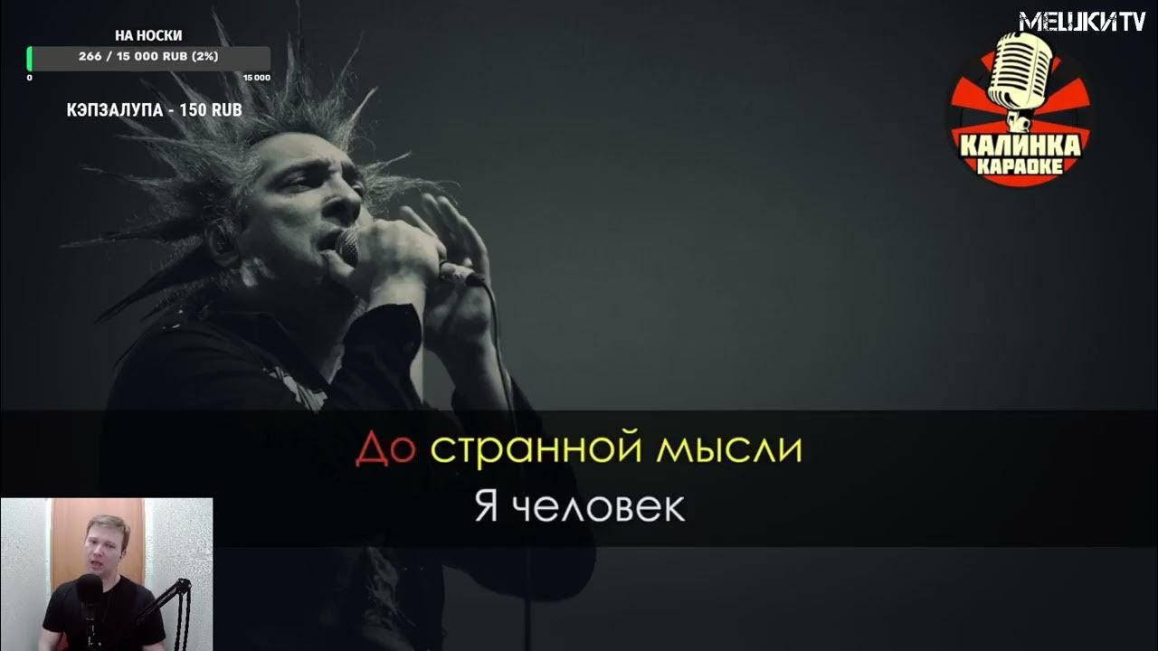 Киш караоке. Король и шут караоке. Бар медведь. Король и шут медведь. Медведь караоке король.
