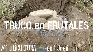 Enmienda NATURAL para retener AGUA y NUTRIENTES  en el suelo de tus FRUTALES  #LdN #agriCULTURA