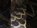 Анаконда амазонки  удивительные факты