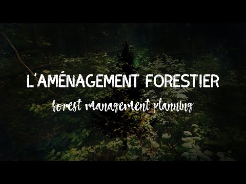 Our Forest, Our Future - Forest Management Planning