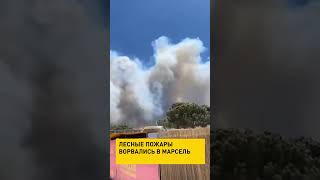 Лесные пожары в Марселе