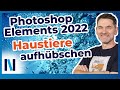 Photoshop Elements 2022: Tierfotos aufpeppen - die neue Funktion kann das!