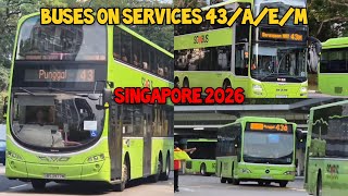 Buses On Service 43/A/e/M, Singapore 2026 (G-AS)
