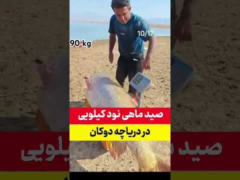 کسی میدونه دریاچه دوکان کجاست  کردستان ولاگ ایرانی  گیلان مازندران انزلی