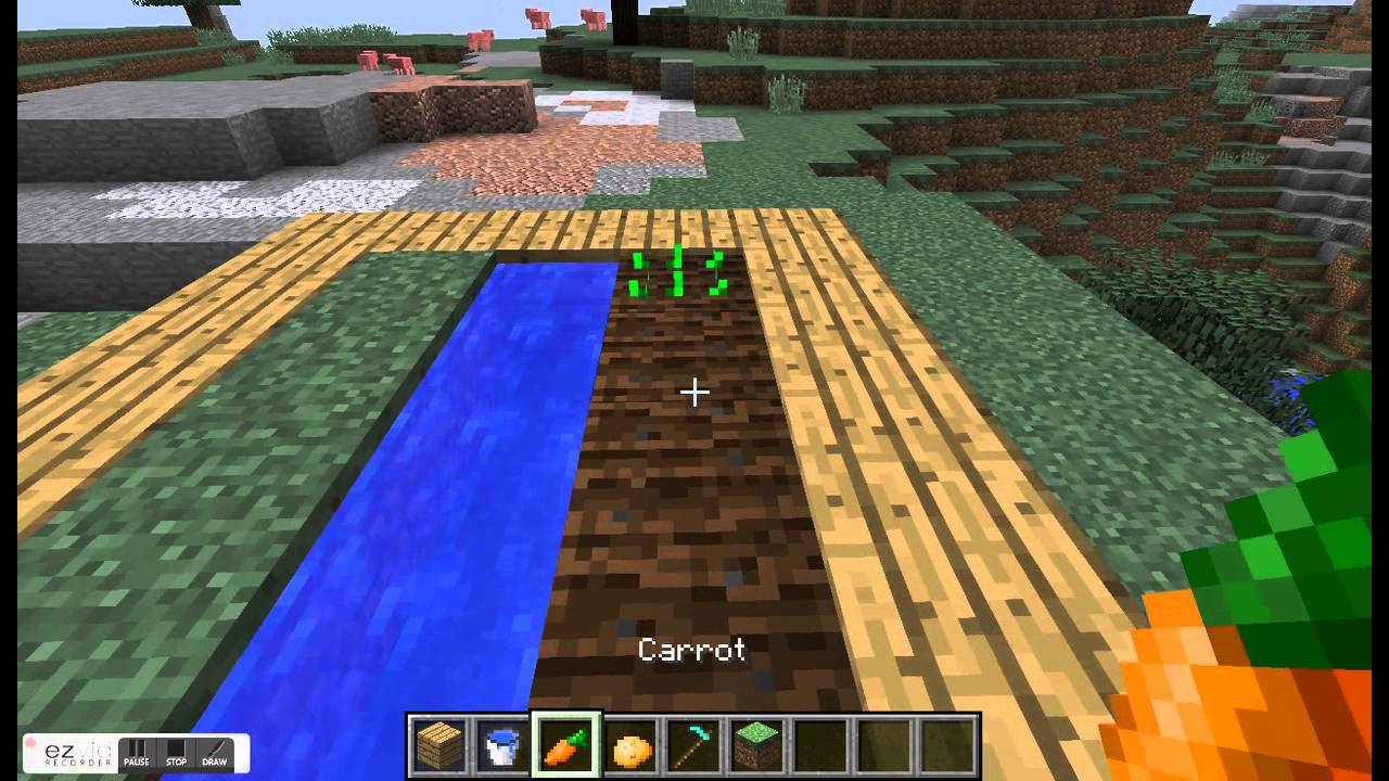 Como fazer plantação de batata e cenoura no Minecraft - YouTube