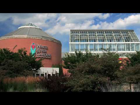 Indianapolis Zoo And White River Gardens Youtube