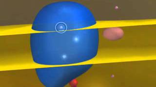 Vcac Cellular Processes Electron Transport Chain The Movie.wmv