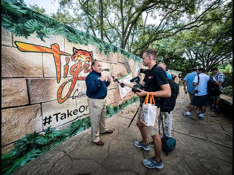 Behind the Scenes at Tigris | Busch Gardens Tampa Bay