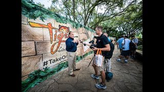 Behind the Scenes at Tigris | Busch Gardens Tampa Bay