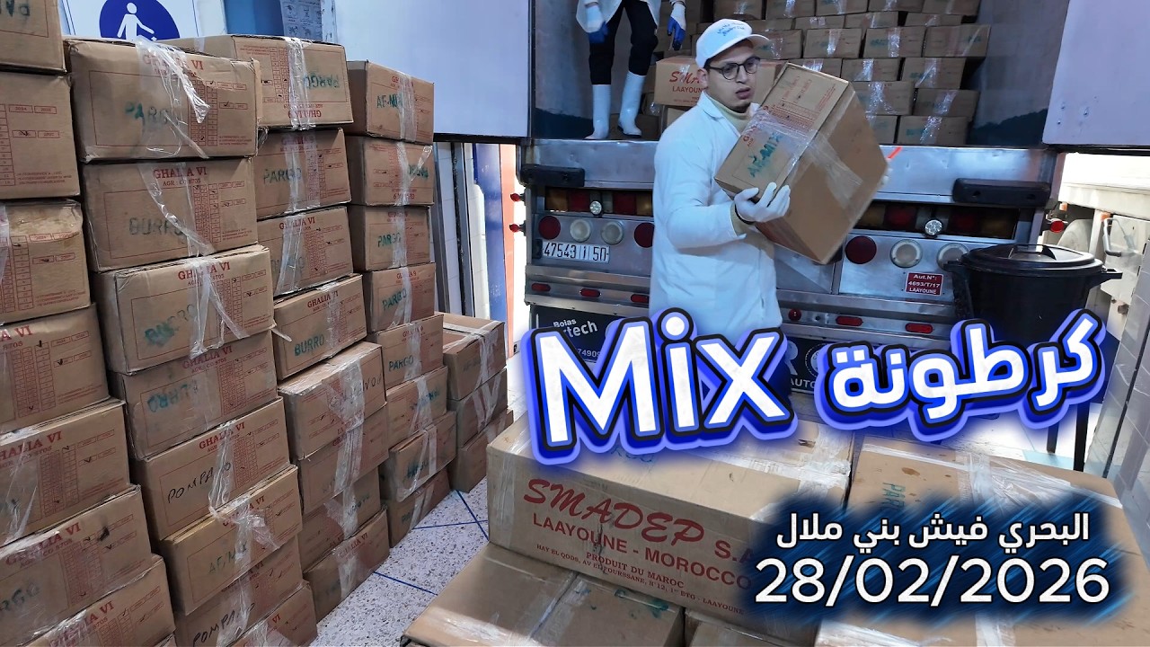 سربي قبل مايسالي كرطونة Mix 400dh البحري فيش المنطقة الصناعية بني ملال 28/02/2026#اكسبلور