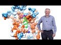 Tom Rapoport (Harvard, HHMI) 1: Organelle Biosynthesis and Protein Sorting