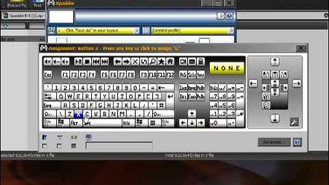 Dfo Guide - How to set up a U.S.B Controller -