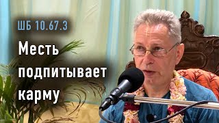 2024-04-14 - Шб 10.67.3 - Месть Подпитывает Карму